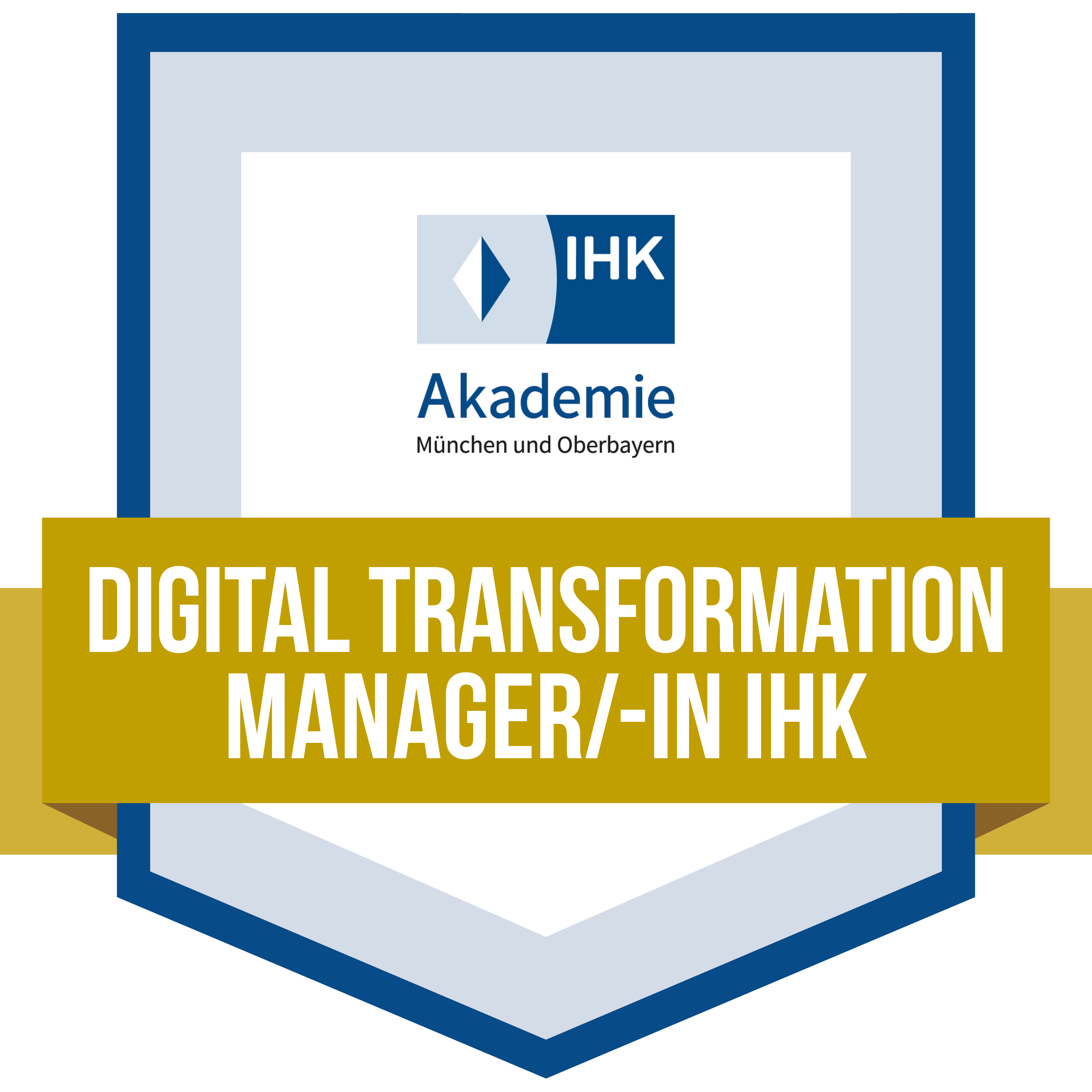 Digital Transformation Manager